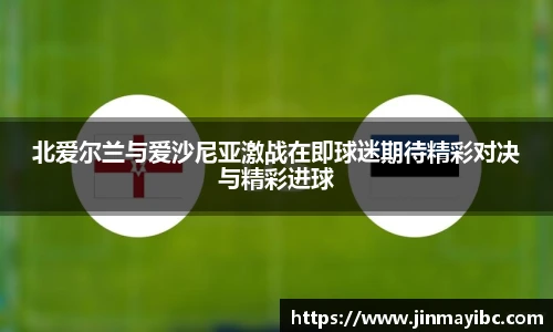 哈哈体育北爱尔兰与爱沙尼亚激战在即球迷期待精彩对决与精彩进球